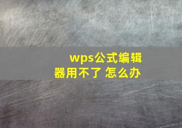 wps公式编辑器用不了 怎么办